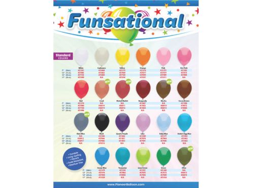 Funsational&reg Flier